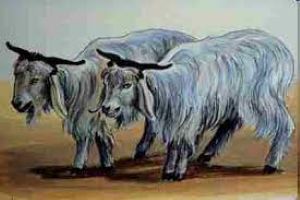 Yom Kippur Scapegoat